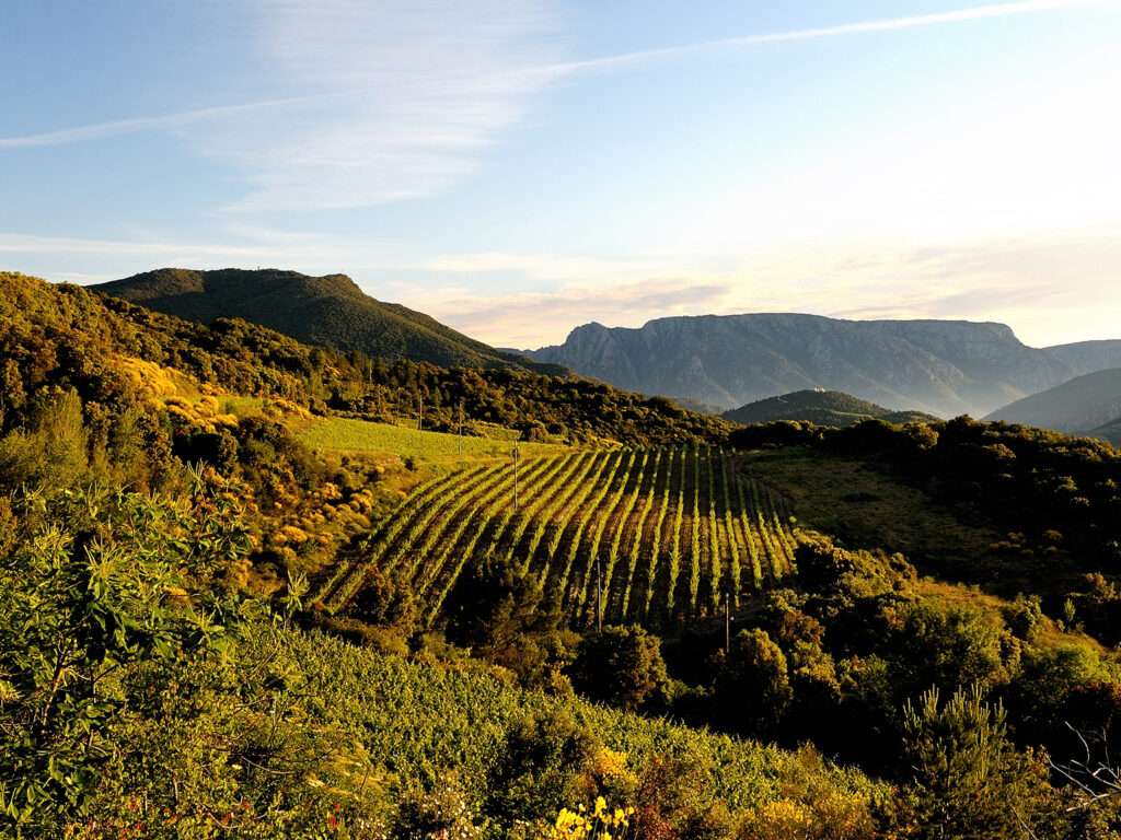 languedoc