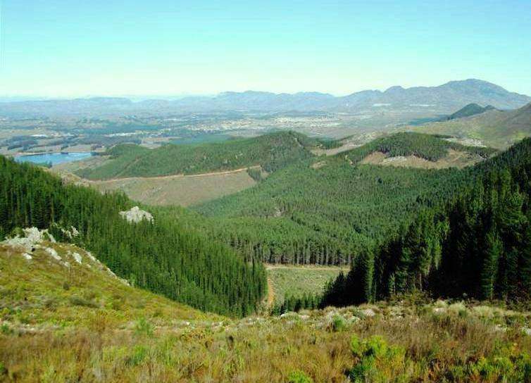 grabouw