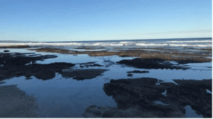 Great Brak river
