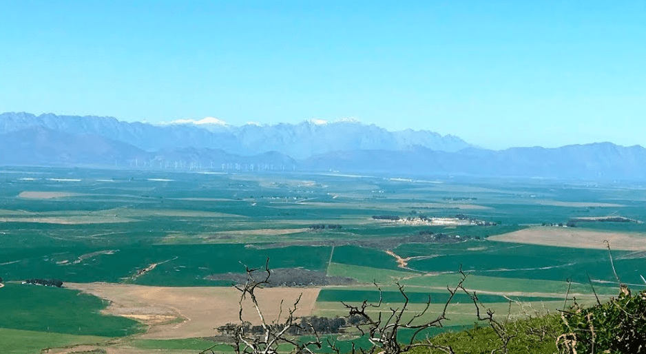 Koringberg