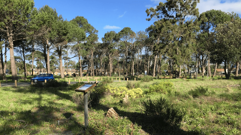 medowridge