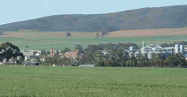 moreesburg