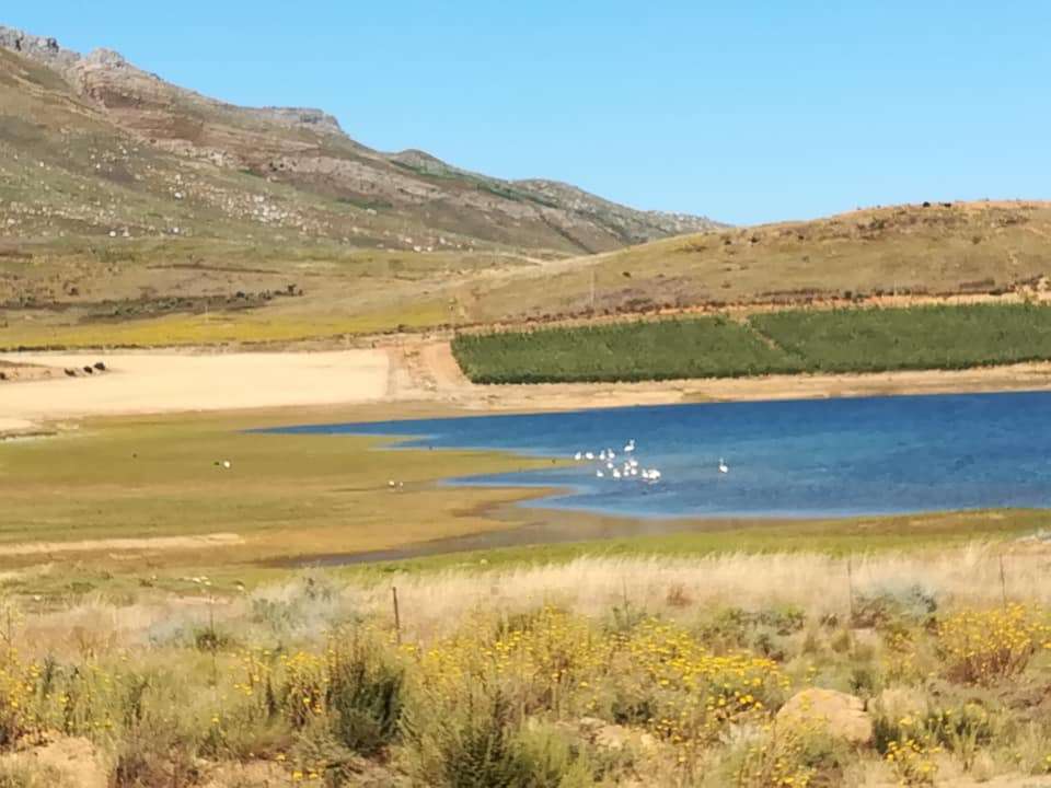 op die berg