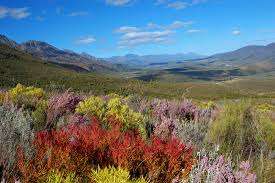 Oudtshoorn