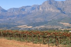 Paarl