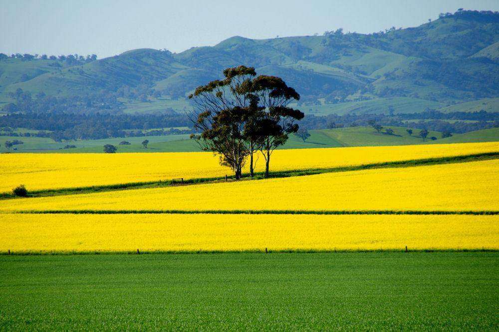 riversdale
