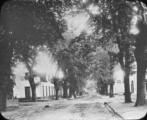 stellenbosch