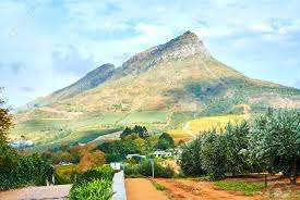 Stellenbosch