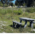Durbanville Nature Reserve