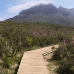 Helderberg nature reserve