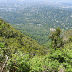 Two hikes to Kirstenbosch