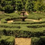 The Village Grill and Butcher maze