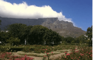 The Company's Garden