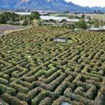 Redberry farm maze and mini train