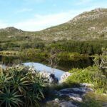 Silvermine nature reserve