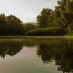 Bonnievale River Lodge