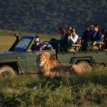 Garden route game lodge