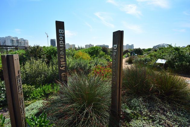 Greenpoint Biodiversity Park