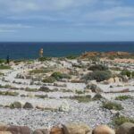 Wandering Whale Labyrinth