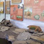 The Old Schuur Interpretive Centre