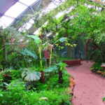 Butterfly world animal sanctuary