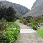 Harold Porter National Botanical Gardens