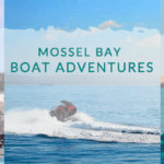 Mossel Bay Boat Adventures