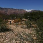 Porcupine rest camp