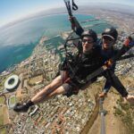 skywings