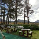 Chilled market at the Range