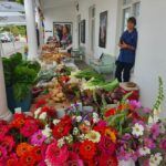 Stanford Saturday market