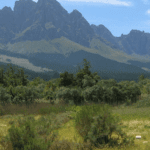 Assegaaibosch Nature Reserve