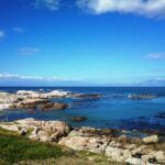 Miller's Point Tidal Pool