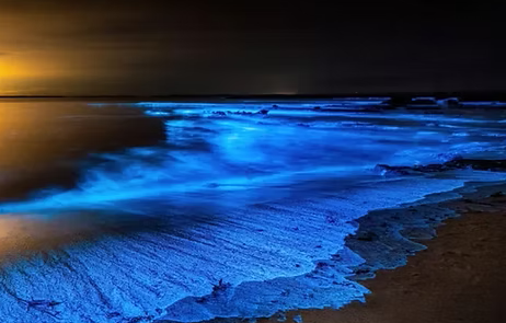 Best Beaches in the Western Cape