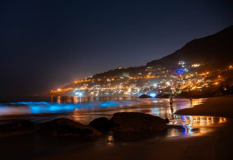 Best Beaches in the Western Cape