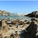 Beach at De Kelders