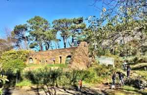 Groot Schuur zoo
