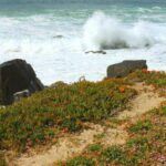 Grotto Bay Private Nature Reserve