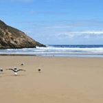 Herolds bay