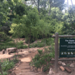 The upper Liesbeek park