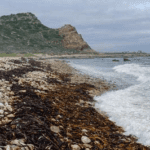 Maclear Beach