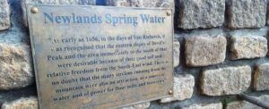 The Newlands Spring