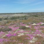 Rocherpan Nature Reserve