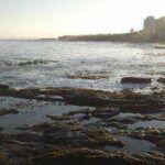 Three Anchor Bay Beach
