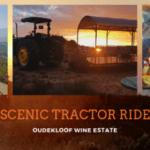 Tractor Rides at Oudekloof