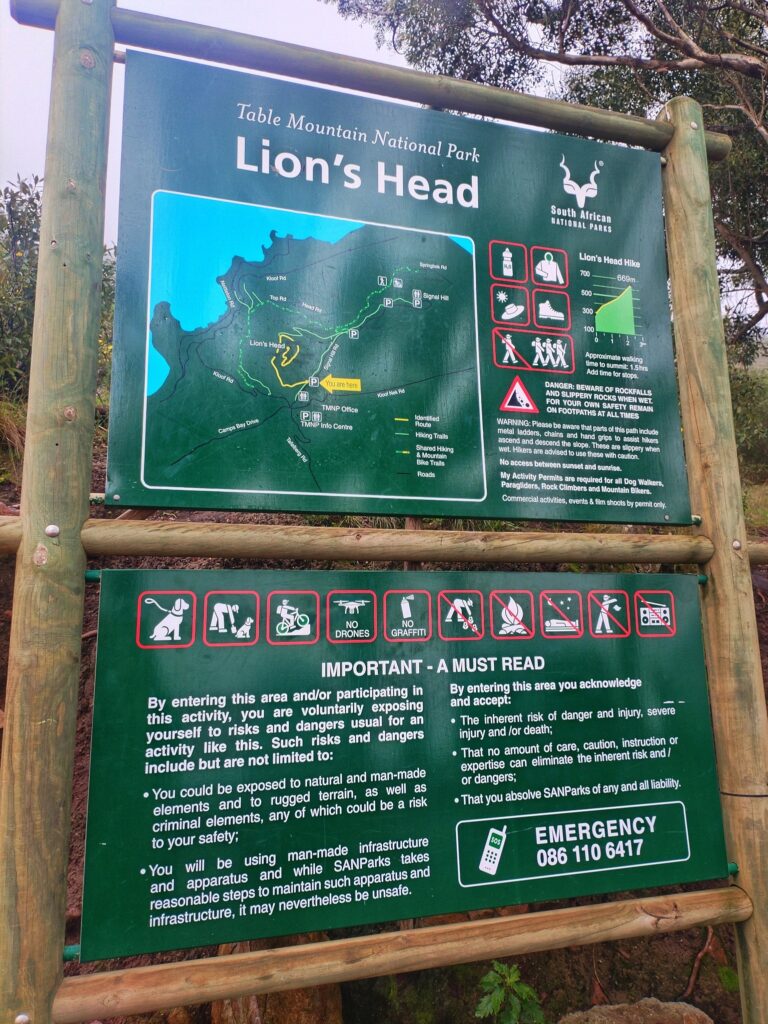 Lion's head