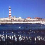 Dassen Island lighthouse