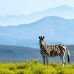 Melozhori private game reserve