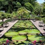 Stellenbosch Botanical Garden