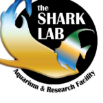 The shark lab